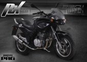 2013 Johnny Pag RX 320i photo
